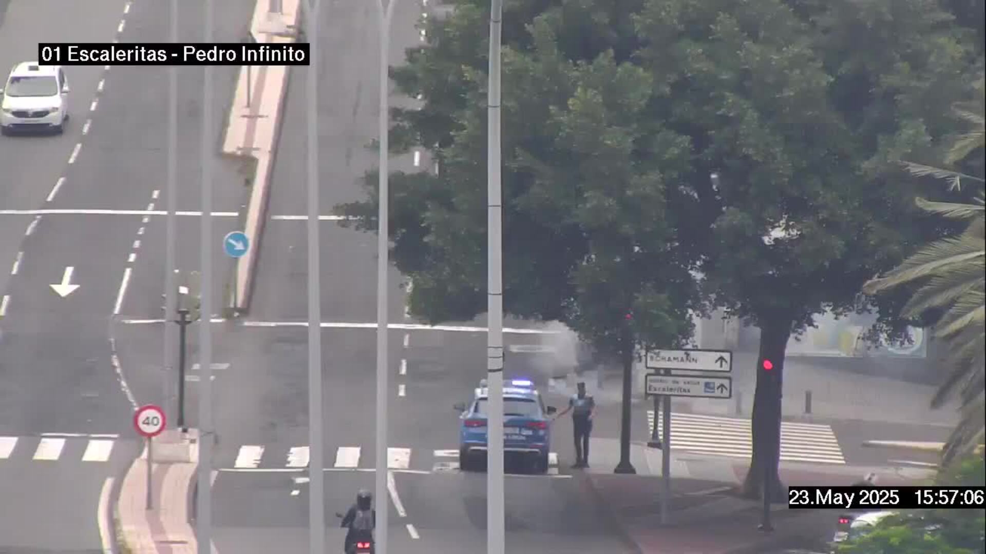 Arde una palmera en Escaleritas