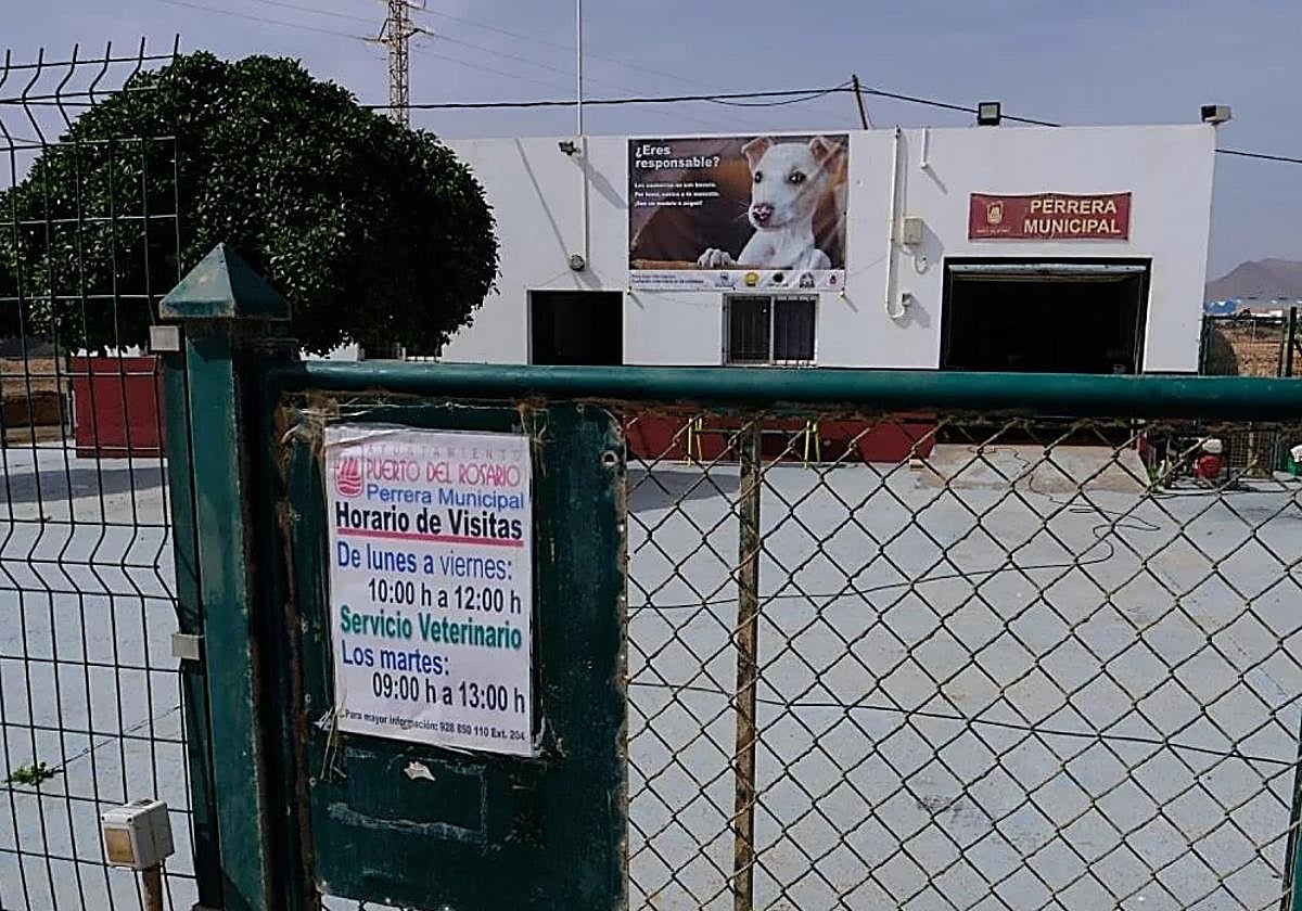La perrera municipal de Puerto del Rosario se localiza en la zona de Risco Prieto.