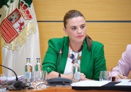 Nuria Cabrera, consejera de Promoción Económica del Cabildo majorero.