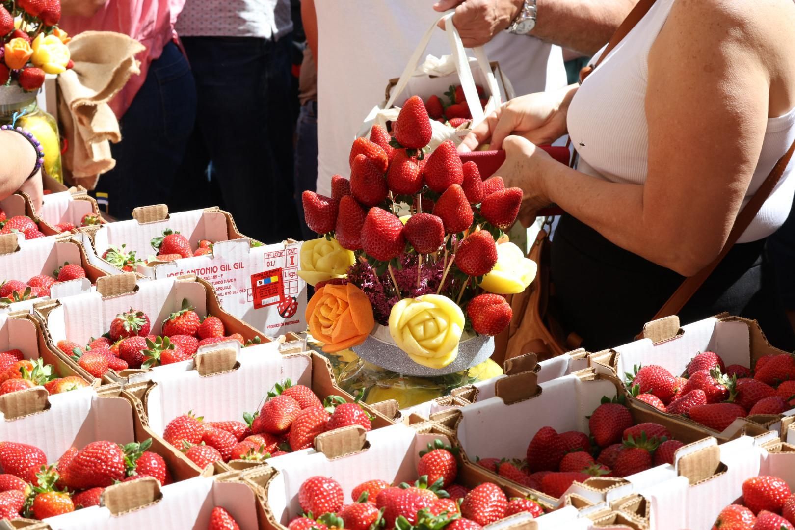 La papa, el millo y las fresas triunfan en Valsequillo