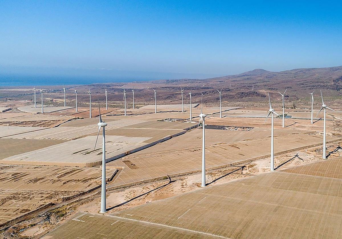 Vista del parque eólico Llanos de La Aldea.