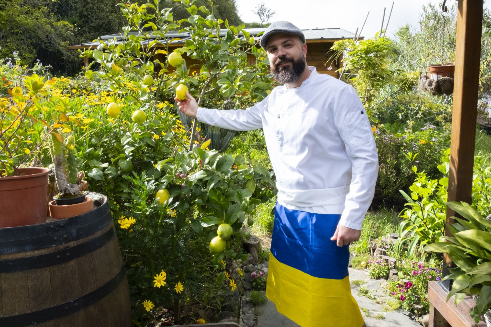 Molero y sus limones.