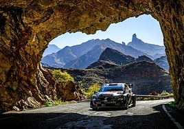 La gestión deportiva, desde la base a la élite