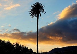 Temperaturas en alza con nubes a la baja en Canarias