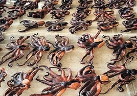 El veterinario: guardián invisible de la gastronomía canaria