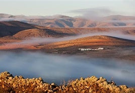 Mañana de blandura en la rosa del Taro, en el municipio de Puerto del Rosario.