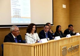 La ineficiencia de los órganos judiciales, otra piedra en el camino para el desarrollo de la RIC
