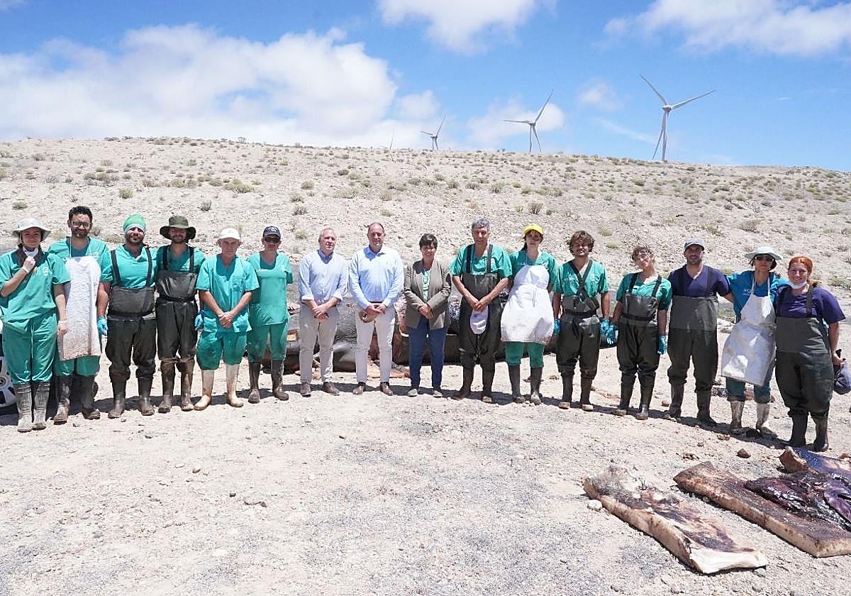 Equipos del IUSA de la ULPGC y del de Datos Biológicos de Cetáceos Varados en las Islas Occidentales que intervino en la necropsia del cachalote hallado muerto en Fasnia, Tenerife.