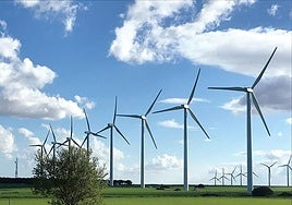 Imagen genéfica de un parque eólico.