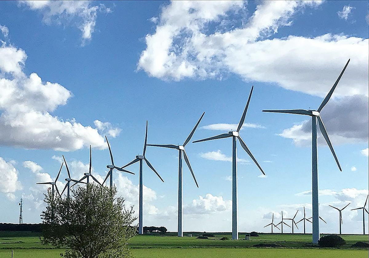 Imagen genéfica de un parque eólico.