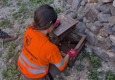 Récord de captura de culebras en Gran Canaria en un mes: 802 en mayo