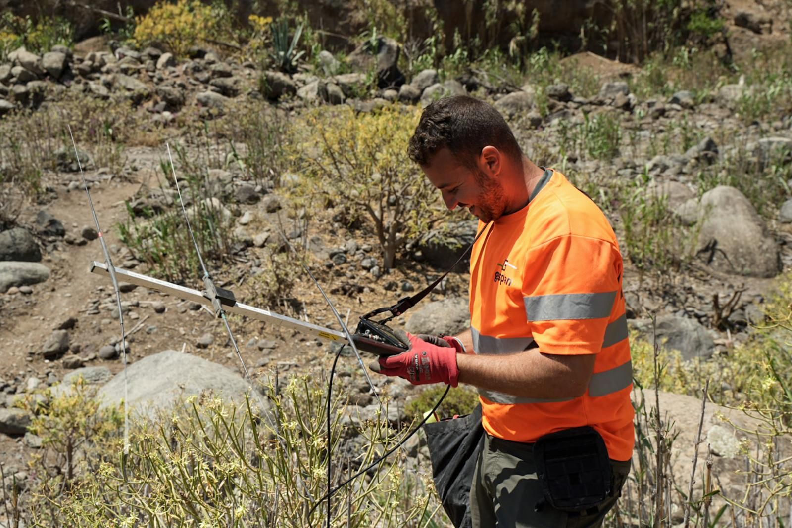 Así entrenan a los perros de Gesplan para encontrar serpientes invasoras en Gran Canaria