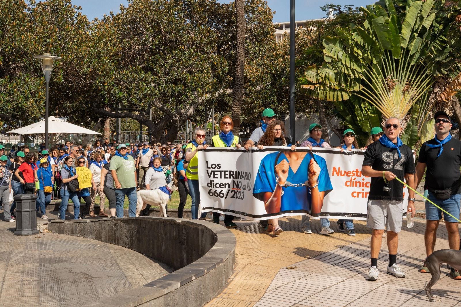 La protesta de los veterinarios en Las Palmas de Gran Canaria, en imágenes