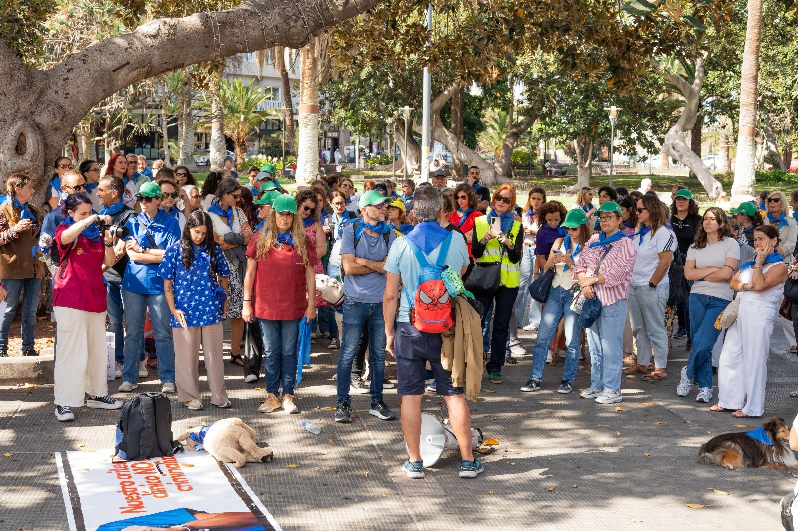 La protesta de los veterinarios en Las Palmas de Gran Canaria, en imágenes