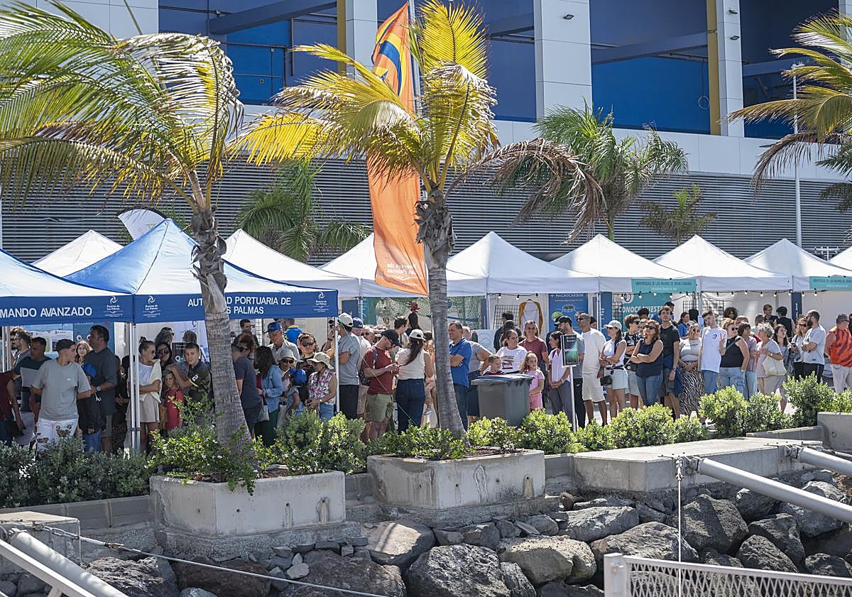 Imagen principal - Fimar cierra su 14ª edición con un canto al mar en clave festiva y científica