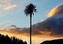 Nubes y claros en el sureste de Gran Canaria.