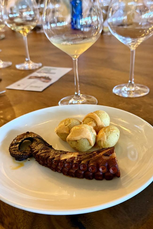 Liquen y pulpo