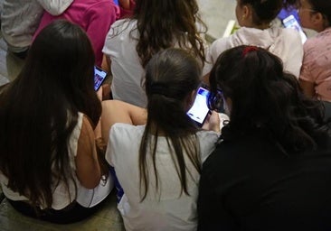 El Parlamento pide una estrategia para prevenir el consumo de porno en jóvenes