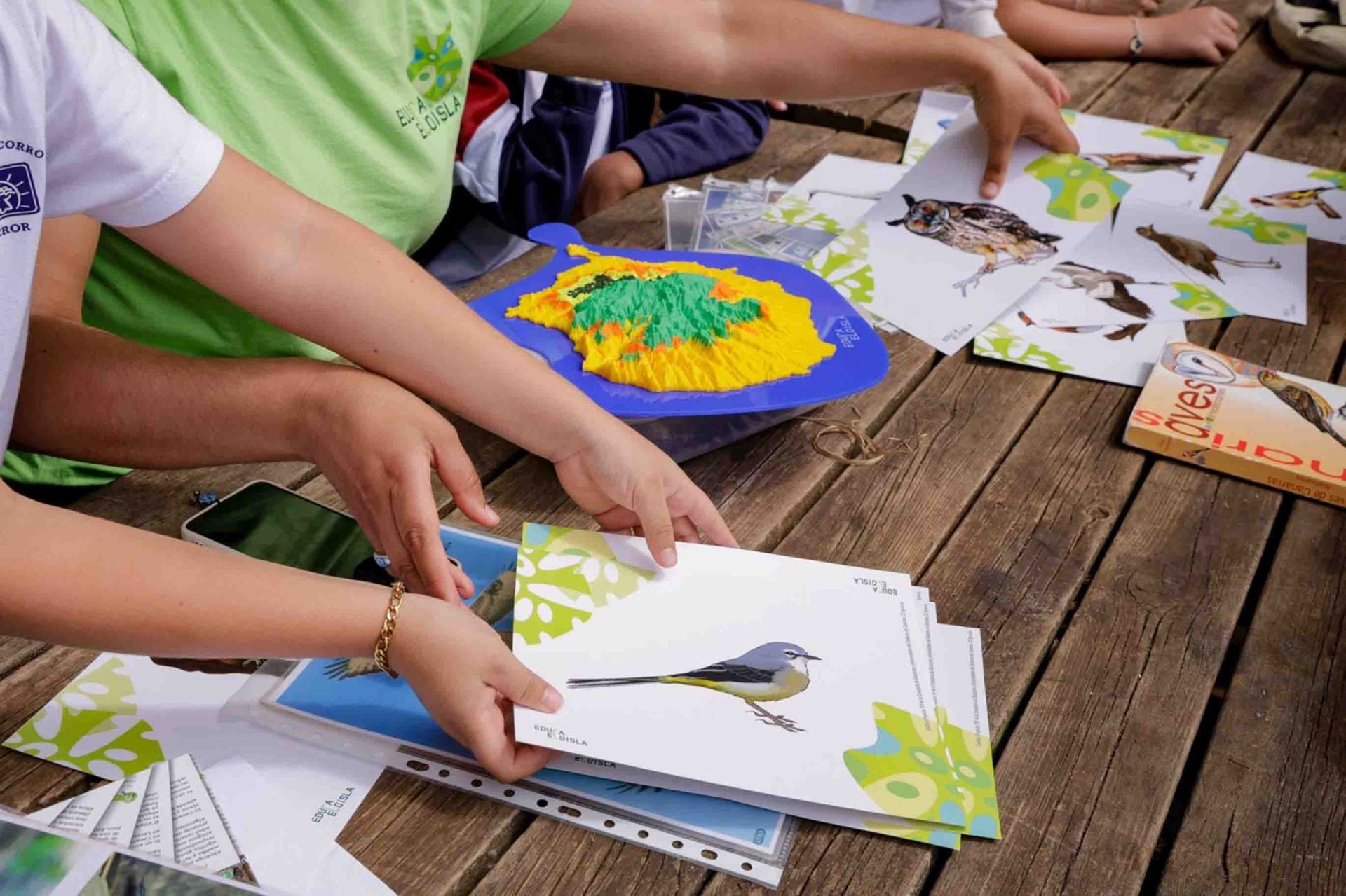 Imágenes del proyecto Brinzal elaborado por el alumnado de Canarias