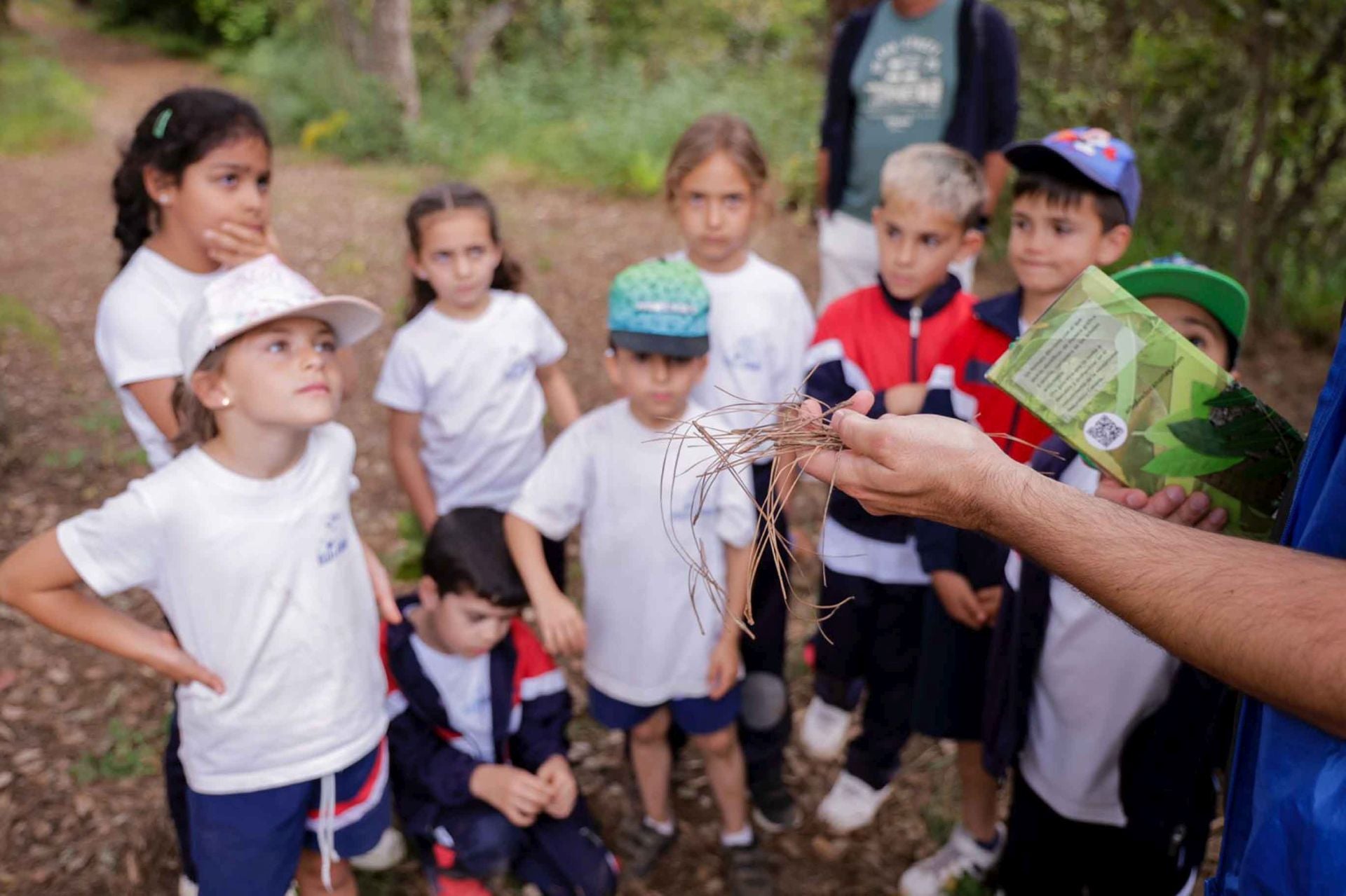 Imágenes del proyecto Brinzal elaborado por el alumnado de Canarias