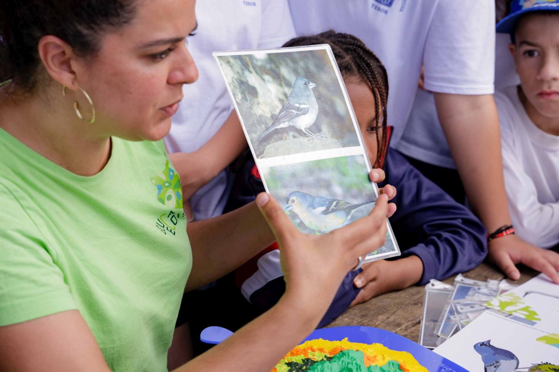 Imágenes del proyecto Brinzal elaborado por el alumnado de Canarias