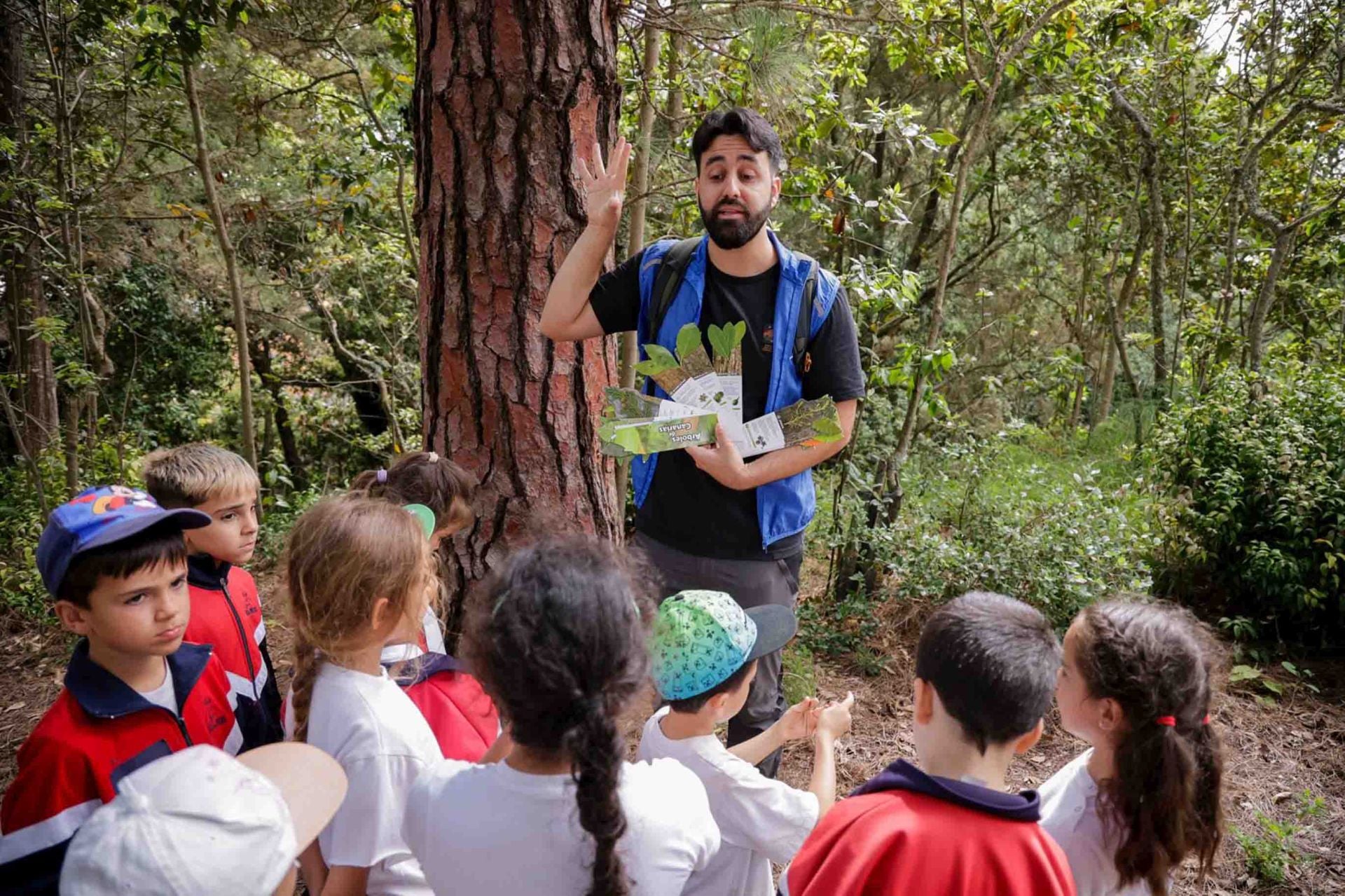 Imágenes del proyecto Brinzal elaborado por el alumnado de Canarias