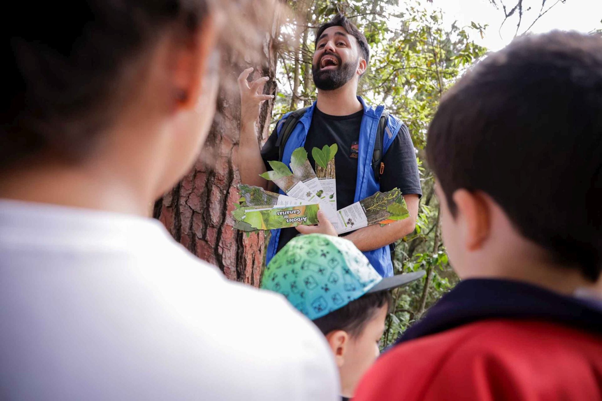 Imágenes del proyecto Brinzal elaborado por el alumnado de Canarias