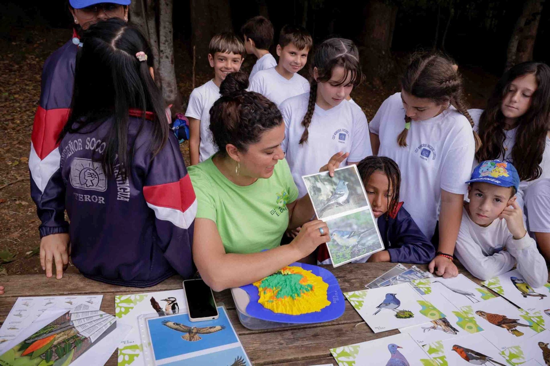 Imágenes del proyecto Brinzal elaborado por el alumnado de Canarias