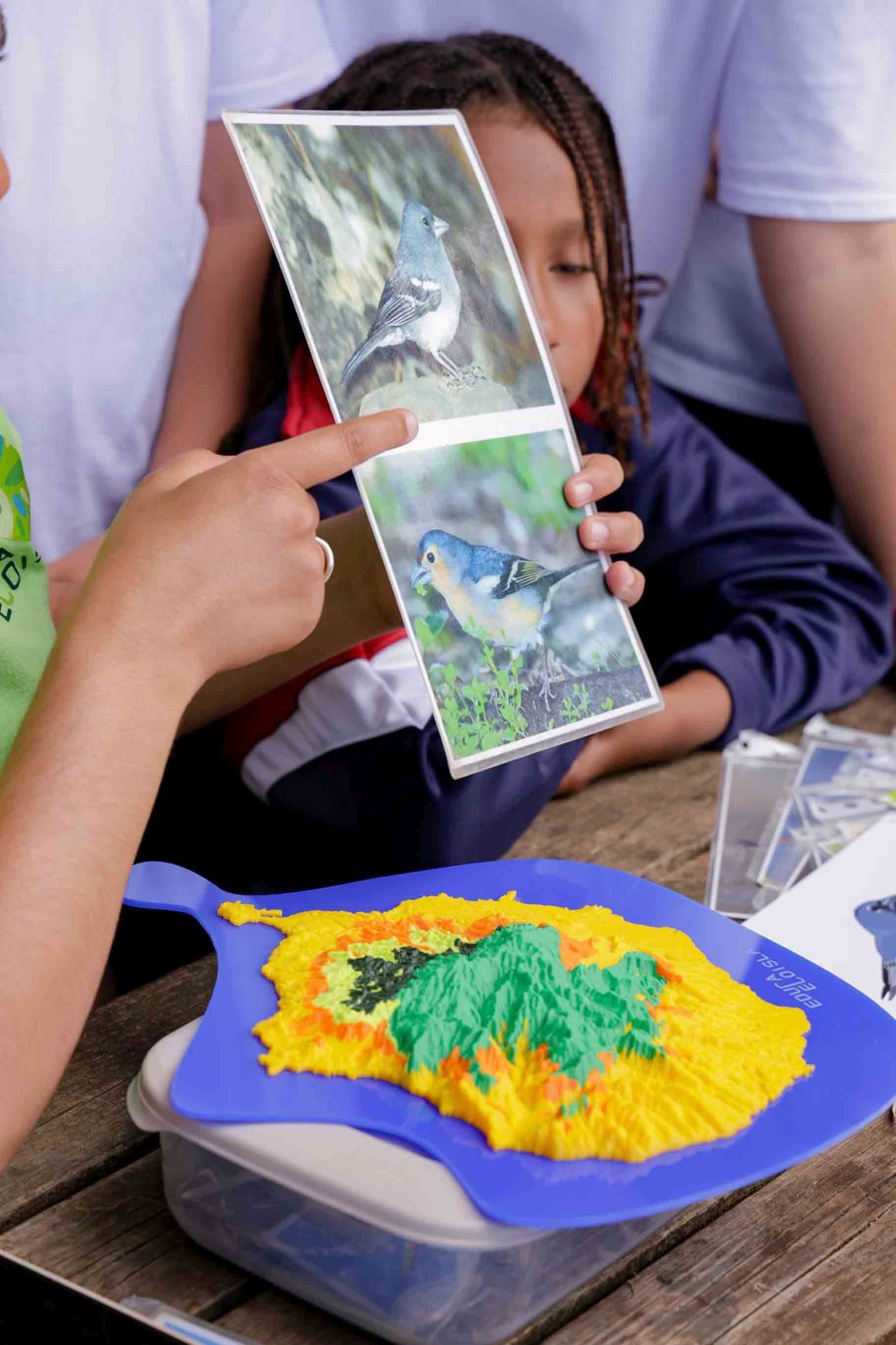 Imágenes del proyecto Brinzal elaborado por el alumnado de Canarias