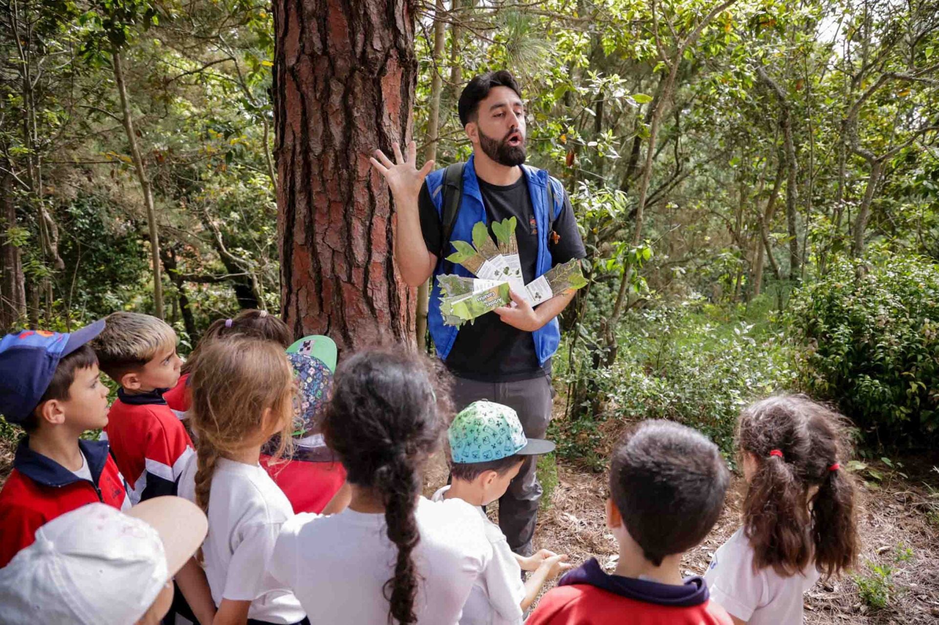 Imágenes del proyecto Brinzal elaborado por el alumnado de Canarias