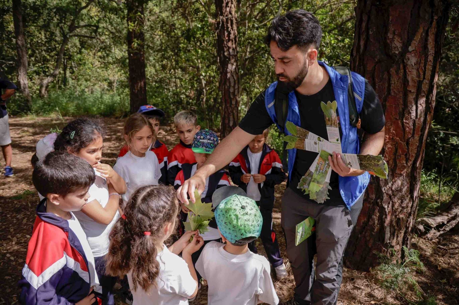 Imágenes del proyecto Brinzal elaborado por el alumnado de Canarias
