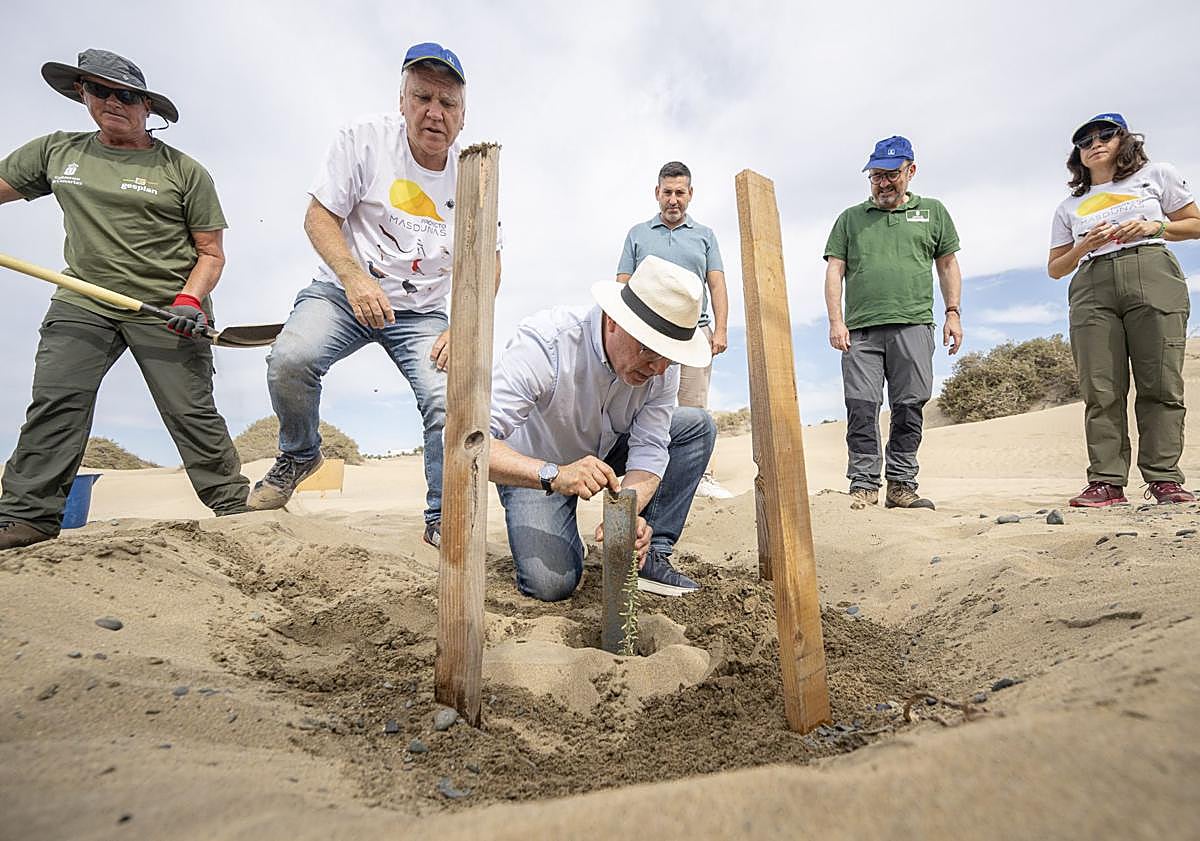Imagen principal - En la foto superior, el presidente del Cabildo planta uno de los balancones previstos para la demostración ante los medios de comunicación.
