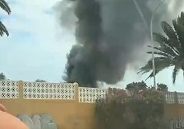 Imagen de la columna de humo en Las Remudas.