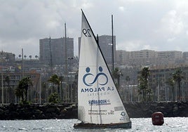 La regata Hospital La Paloma Pueblo Guanche en la bahía de Las Palmas de Gran Canaria.