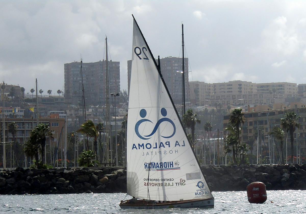 La regata Hospital La Paloma Pueblo Guanche en la bahía de Las Palmas de Gran Canaria.