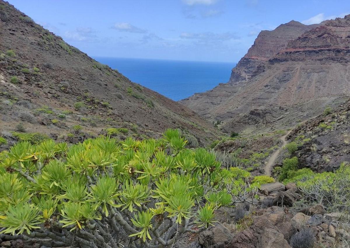 Imagen secundaria 1 - Conocer a pie la playa más aislada de Gran Canaria ya no será tan peligroso