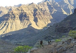 Camino a Guguy. Operarios en faena en uno de los senderos.