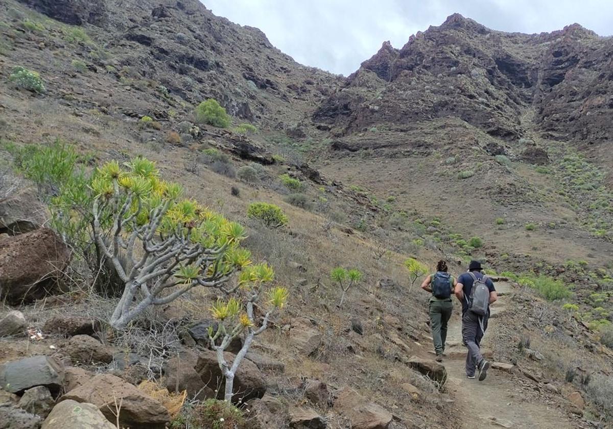 Imagen principal - Conocer a pie la playa más aislada de Gran Canaria ya no será tan peligroso