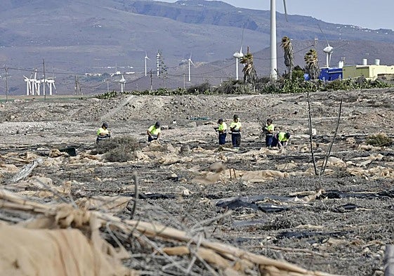 Imagen de archivo de actuaciones de limpieza de invernaderos en el primer plan de empleo, que acabó en febrero de este año.