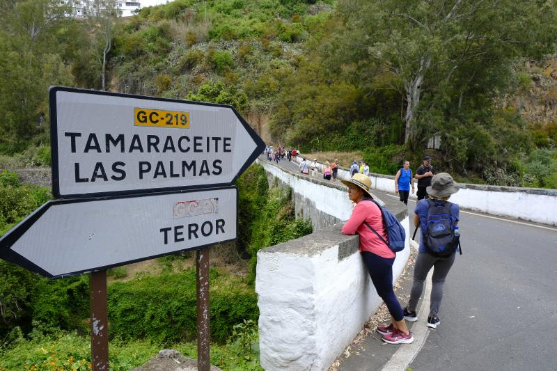 El álbum de la Bajada de la Virgen del Pino 2025