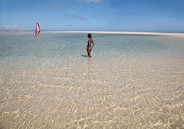 Marisma de playa de la Barca, en las playas de sotavento de Jandía, en el municipio de Pájara.