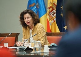La consejera de Hacienda del Gobierno de Canarias, Matilde Asián, en comisión parlamentaria.