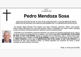Pedro Mendoza Sosa