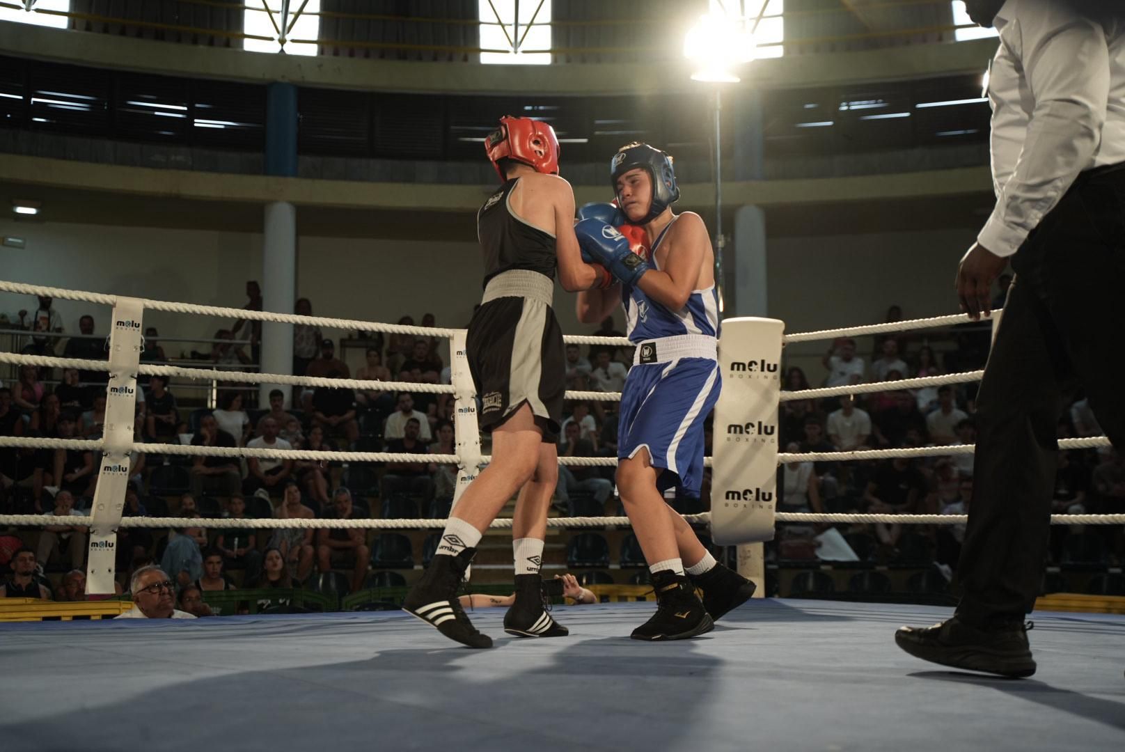 Éxito de Arucas Boxea 2025