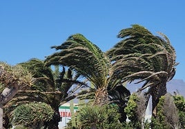 El tiempo en Canarias: los vientos alisios se vuelven a imponer en las islas