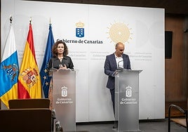 La consejera de Hacienda, Matilde Asián y el portavoz del Gobierno de Canarias, Alfonso Cabello.