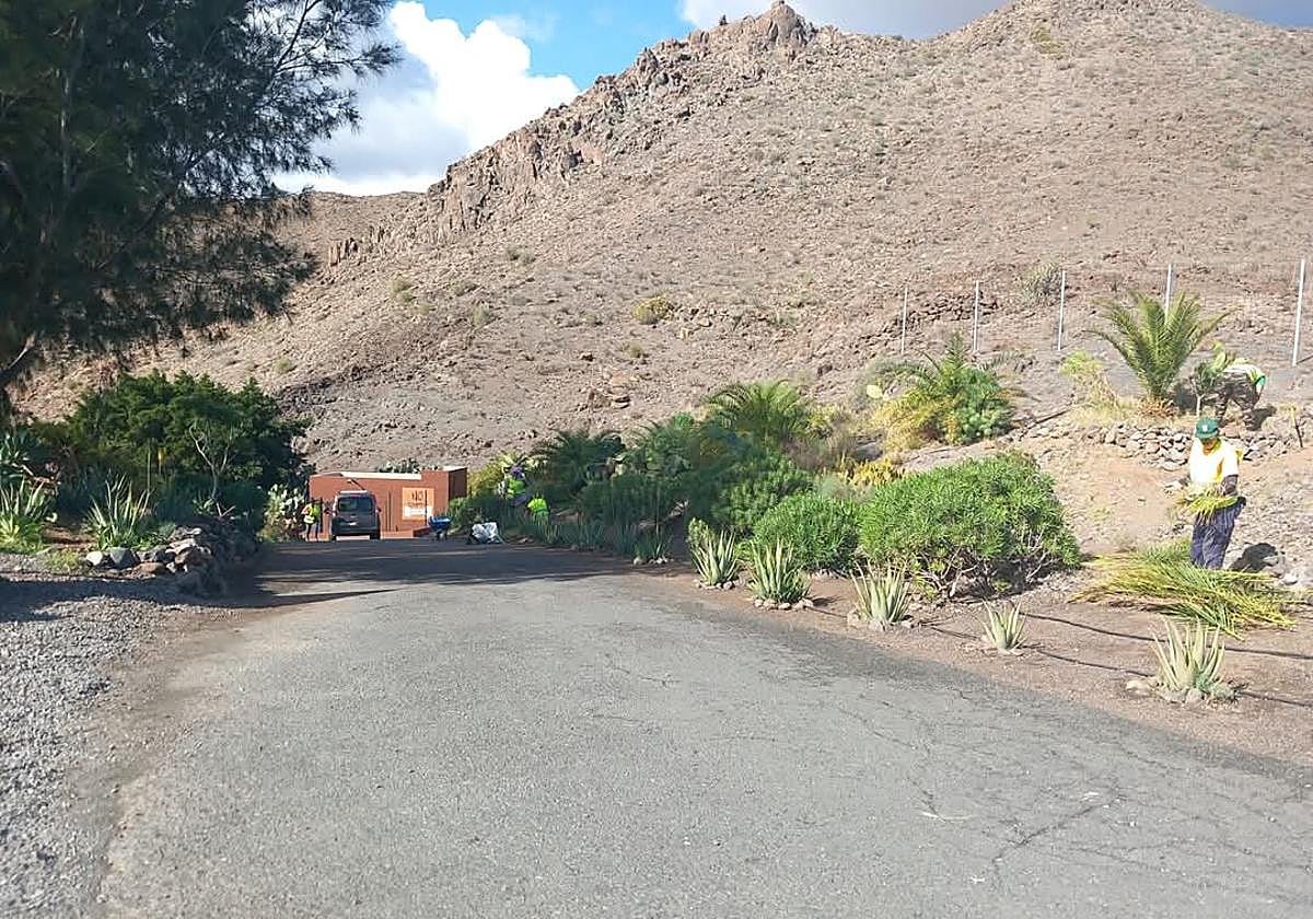 Imagen de archivo del centro de protección animal de Santa Lucía.