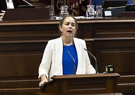 La diputada de Vox, Paula Jover, durante una intervención en el Parlamento de Canarias.