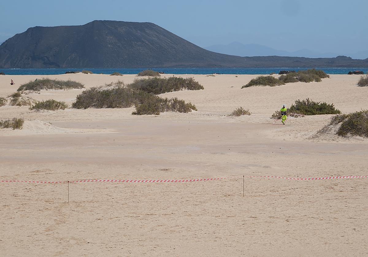 Un empleado de Tragsa coloca la cinta que delimita las 20 hectáreas a rellenar con arena en la playa del Pozo, frente a Lobos.