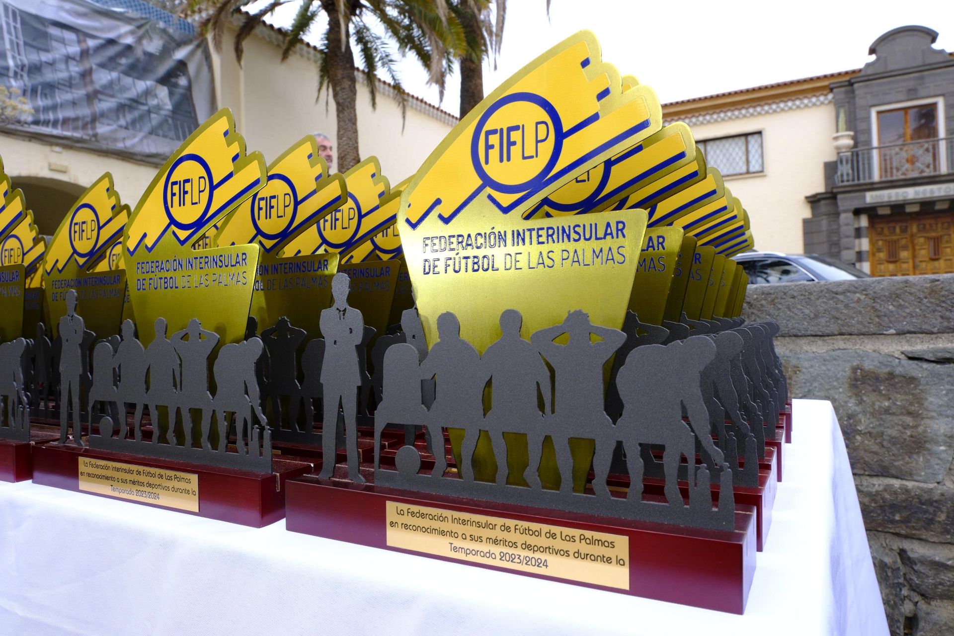 El Día del Entrenador de la FIFLP, con un padrino de lujo